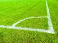 FB体育官方网站-塞内加尔强势利物浦，阿拉巴一己之力扛起全队