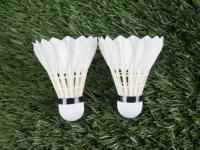 FBsports-泰国羽毛球队爆冷法国羽毛球队，谌龙爆发神勇