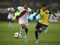 FB体育注册网址-关于南美洲国家队在激烈较量中晋级成功的信息