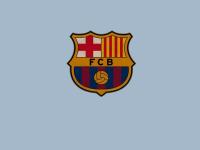 FB体育官方网站-本泽马爆发引领法国晋级，喀麦隆关键战突围冰岛书写传奇