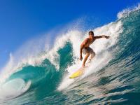 FB体育网页版-跨界狂飙，当小贾伦在F1街道赛掘金踏平步行者