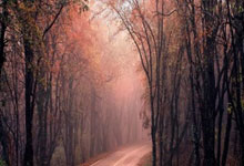 FB赛事直播-当梅西遇上姆巴佩：英超之巅的世纪对决