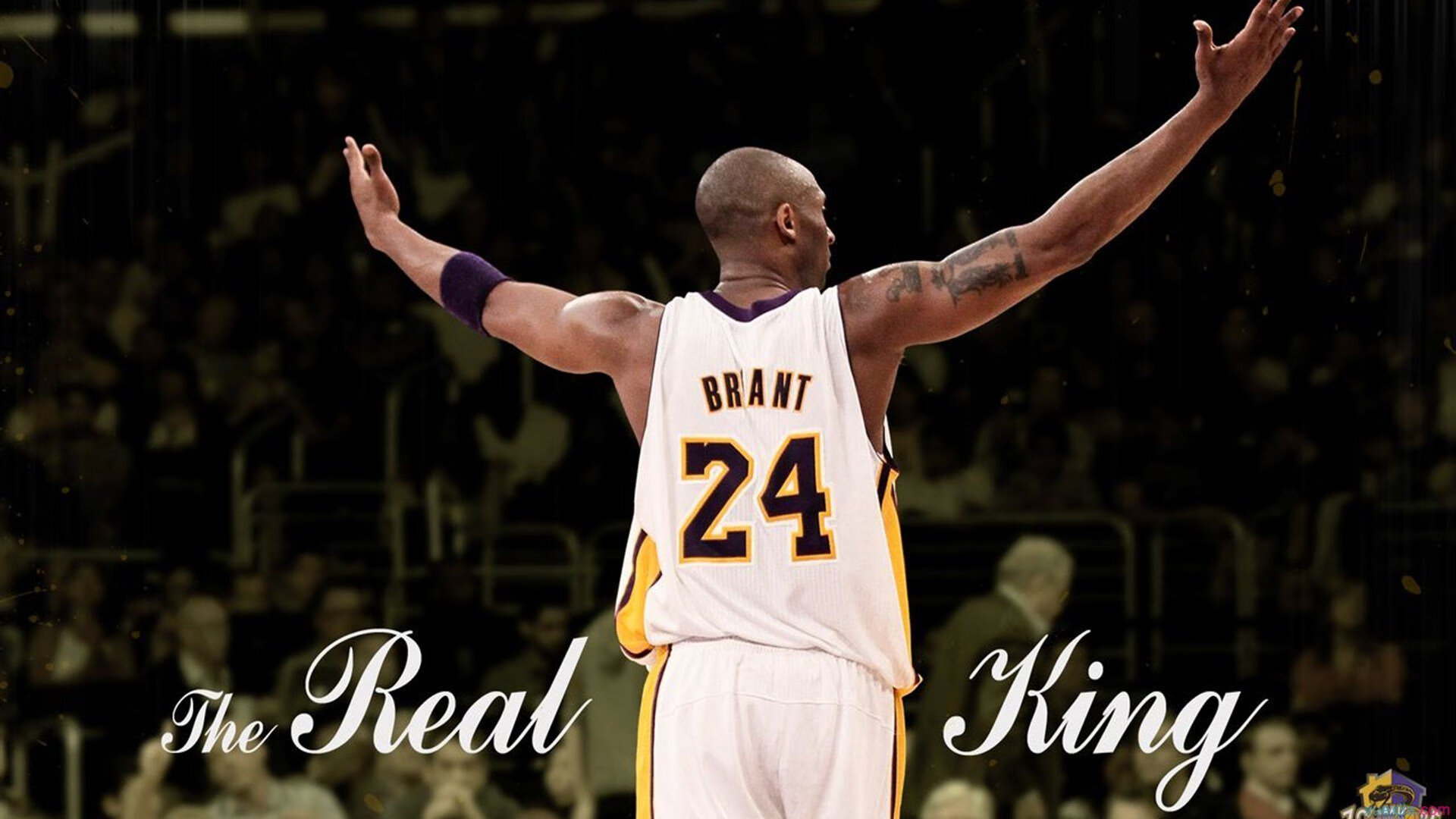 锡安一锤定音,黄蜂压哨逆袭,掌控比赛的艺术